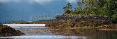 Nature And Science Gwaii Haanas National Park Reserve National