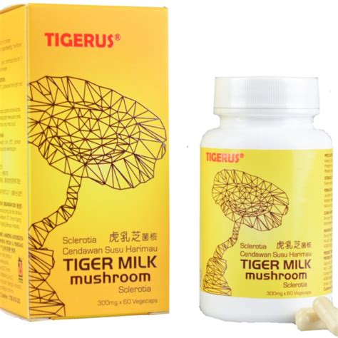 The name came from folklore that tiger milk mushroom has been used for 400 years as a health tonic by the aborigines for its healing properties on more than 15 types of medical. Tigerus Tiger Milk Mushroom Sclerotia 300mg (60s) ,Exp 11 ...