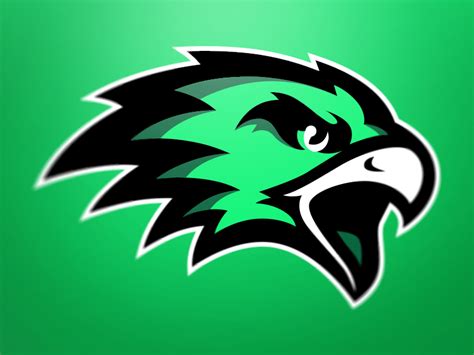 Designevo hawk logo generator includes all kinds of hawk logo templates and it is so easy for you to build a stunning hawk logo design like a pro. Fighting hawks Logos