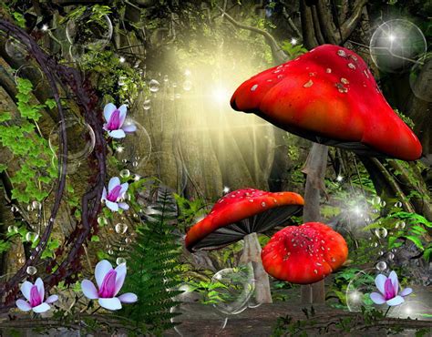 Enchanted Forest Desktop Wallpaper Wallpapersafari