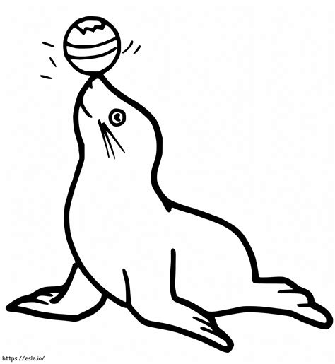 Simple Sea Lion With Ball Coloring Page