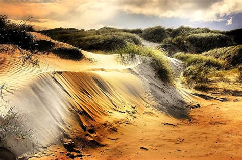Dunes North Sea Beach Denmark Sea Away Sandy Beach Dunes By The