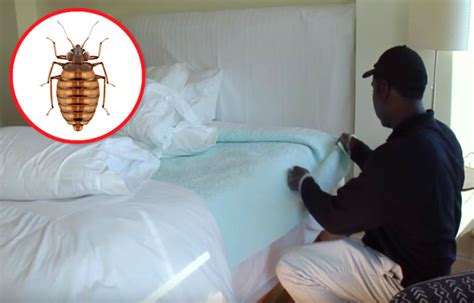 The 6 Favorite Hiding Places Of Bed Bugs
