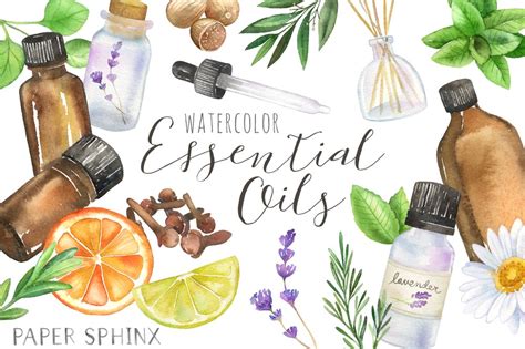 Essential Oils Clipart Pack ~ Illustrations ~ Creative Market