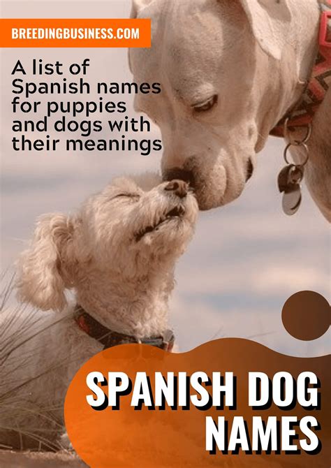 The list provides some of the best spanish foods that also go well for dog names. 175+ Spanish Dog Names - From Geography and Food, to ...