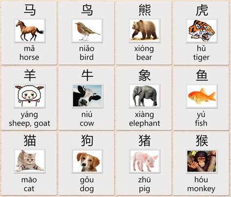 Chinese Animal Symbols And Their Meanings