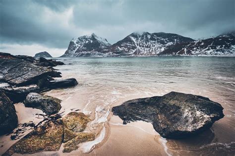 Rocky Coast Of Fjord In Norway Stock Image Image Of Haukland Snow
