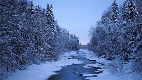 Finland Rivers Winter Forests Snow Trees Nature Wallpapers Hd