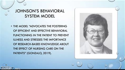 Dorothy Johnson S Behavioral System Model Youtube