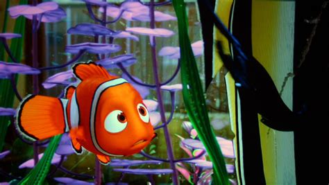 Nemo Finding Nemo Photo 29320341 Fanpop