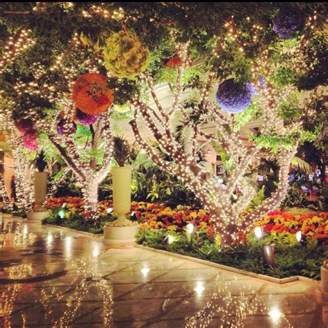 We are a highly respected world class florist specializing in providing the highest quality fresh flowers and plants to. The entryway at the Wynn is pretty magical... | iPhone ...