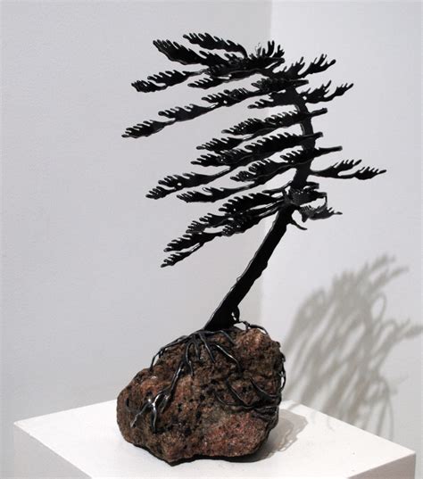Windswept Pine One On Stone 189967 Crescent Hill Gallery