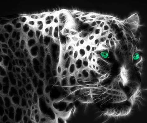 Leopard Fractal Abstract Animals Big Cats Leopards Hd Wallpaper