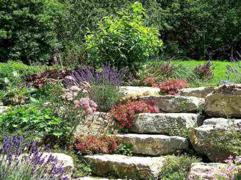 A Complete Guide To Landscaping With Boulders Lawnstarter