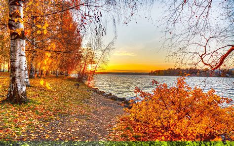 24 Autumn Wallpapers Backgrounds Images Pictures Design Trends