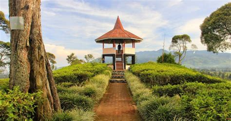 Rute Menuju Lokasi Wisata Di Gunung Malabar Bandung