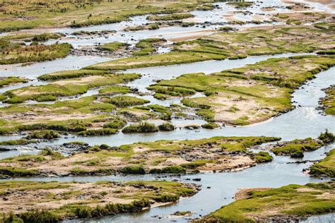 Olifants River Limpopo At Kruger National Park Stock Image Image Of