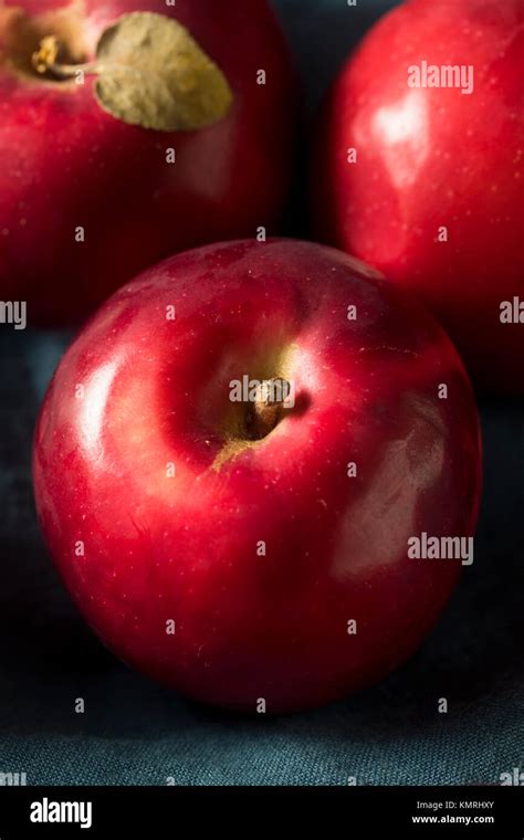 Red Organic Macintosh Apples Ready To Eat Stock Photo Alamy