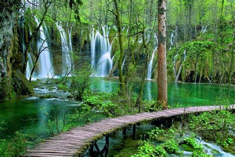 2023 Plitvice Lakes National Park Tour From Zadar
