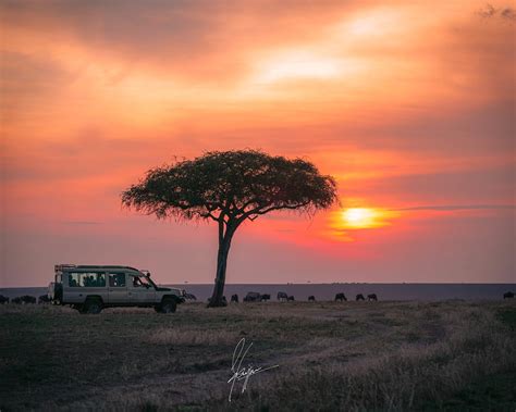 Maasai Mara Sunsets Rkenya