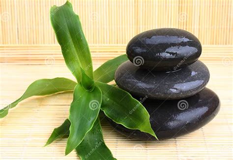 Wet Massage Stones With The Plant On Bamboo Mat Stock Image Image Of Stone Objects 16322509