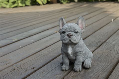 Hi Line T Ltd French Bulldog Puppy Sitting Statue And Reviews