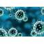 Flu Virus With ‘pandemic Potential’ Discovered In China  Siyatha News