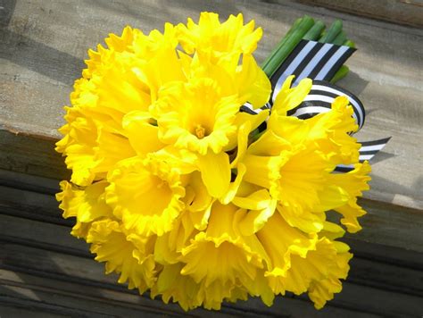 Wedding Flowers From Springwell Daffodil Love