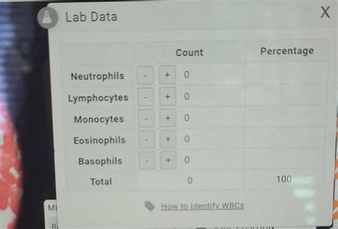 Blood Differential White Blood Cell Count