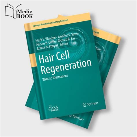 Hair Cell Regeneration Springer Handbook Of Auditory