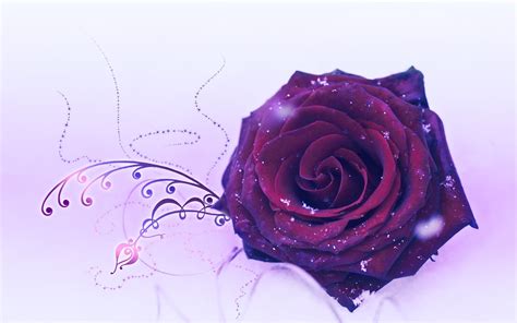 Free Download Purple Rose Wallpapers Hd Wallpapers Early 1920x1200