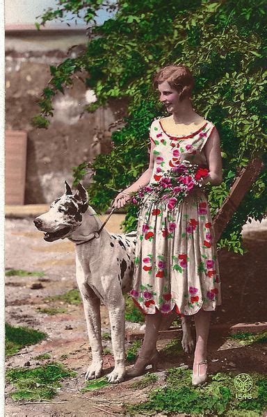 1930s Postcard Great Dane Vintage Dog Great Dane Dogs