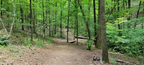 10 Best Hikes And Trails In Oak Mountain State Park Alltrails