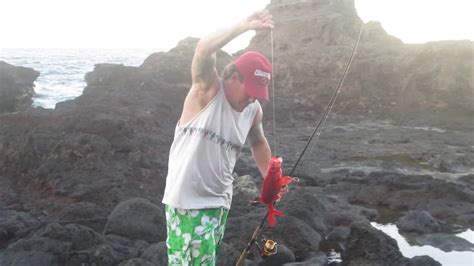 Hawaiian Reef Fishing Youtube