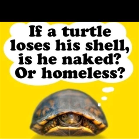 Things That Make You Go Hmmm Cute Quotes Bones Funny Turtle