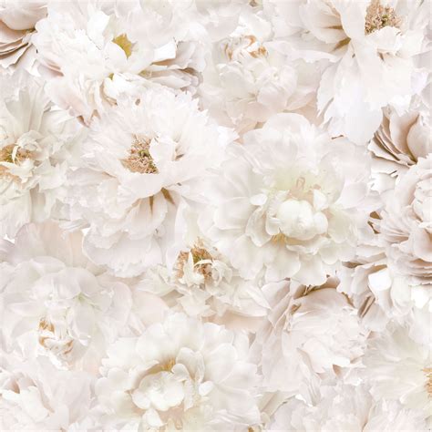 White Floral Wallpapers Wallpaper Cave