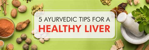 Health Liver 5 Tips On How To Have A Healthy Liver