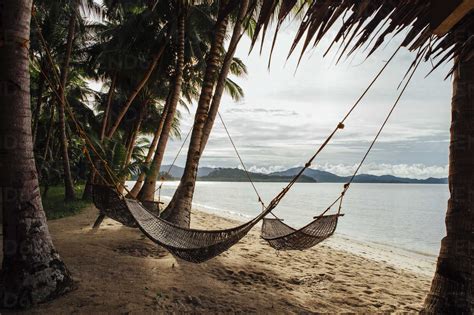 Hammocks Hanging Amidst Coconut Palm Trees At Beach Stock Photo
