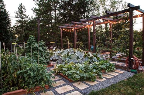 A good size for a beginner's vegetable garden is 6x6 feet. 30 Amazing Ideas For Growing A Vegetable Garden In Your ...