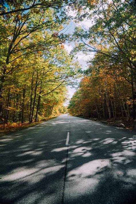15 Top States For Fall Foliage Photography Adorama