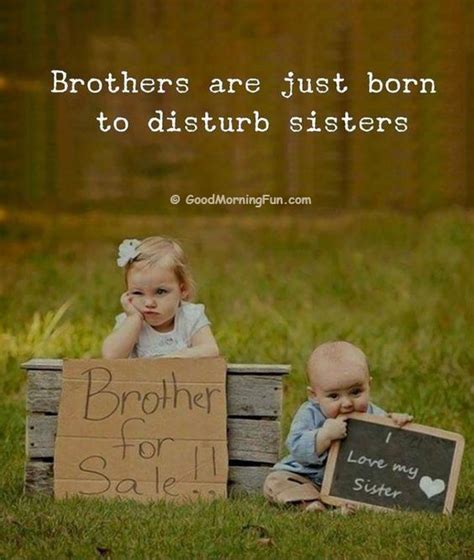 100 Brothers Day Wishes And Quotes Caption For Brother Good Morning Fun