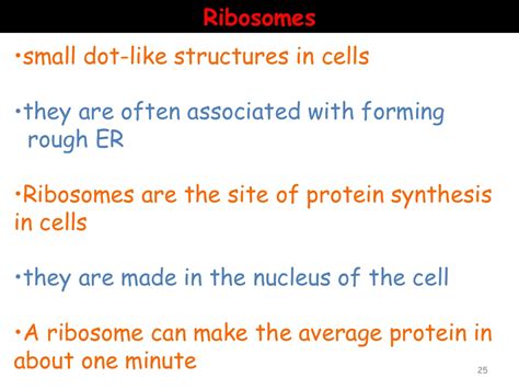 Cell Organelle Power Point Notes