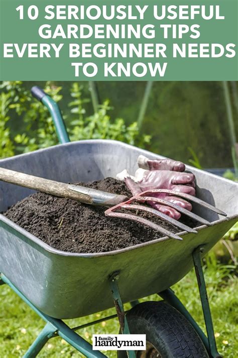 10 Seriously Useful Gardening Tips Every Beginner Needs To Know Mini
