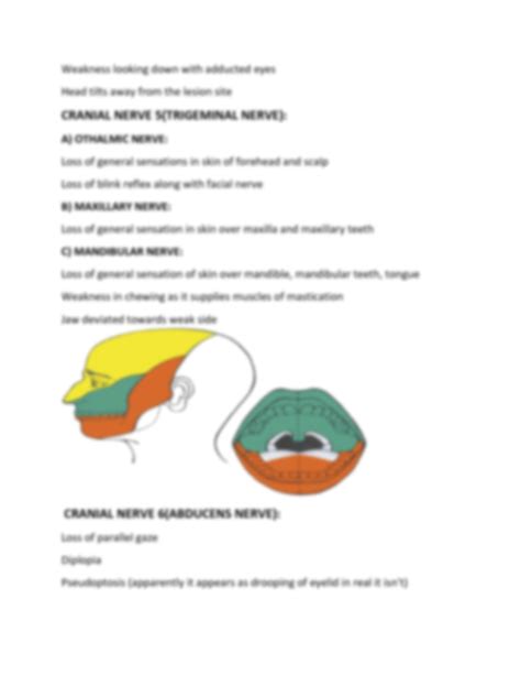 Solution Cranial Nerves Lesions Studypool