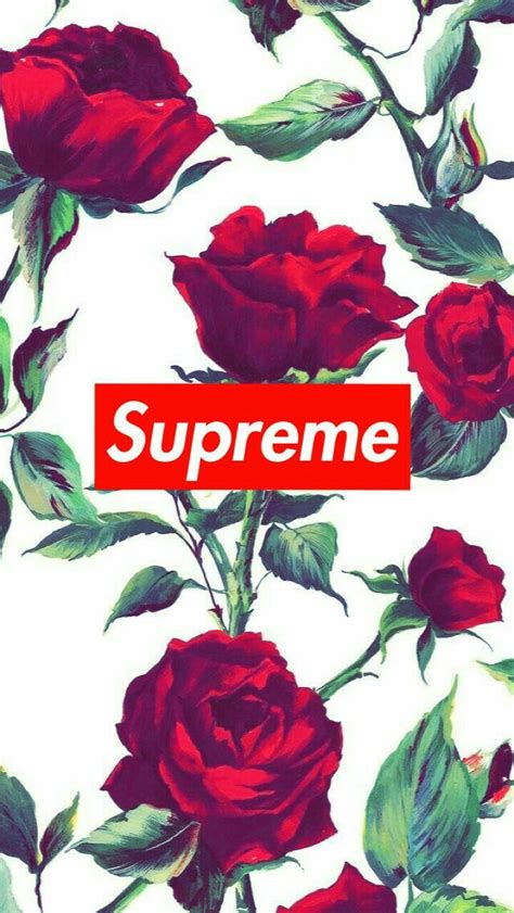 And this is how you get them. 20+ Supreme Rose Wallpapers on WallpaperSafari
