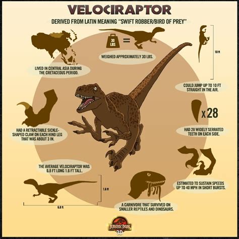 Velociraptor Facts Dinos Pinterest