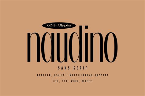 Naudino Font By Minimalistartstudio · Creative Fabrica