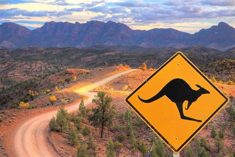 The Magic Of Red Desert Outback South Australia Travel Magazine For