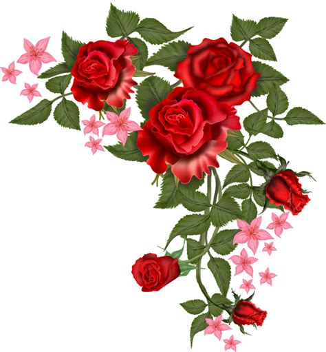 Rose Vector Png Free Download On Clipartmag