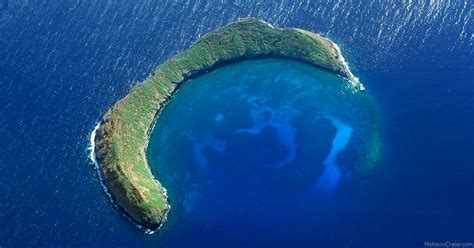 Molokini Crater Snorkeling Guide In Maui Hawaii